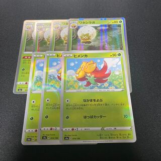 ヒメンカ　ワタシラガ　進化ライン　わたはこび