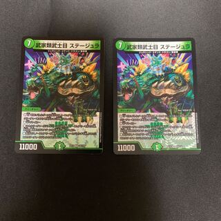 Samurai family Samurai order Stejura, VR 14/110.