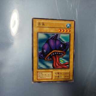 Tongyo Initial Normal ☆