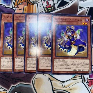 Reptilianne Nyami Normal JP019