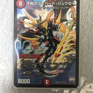 不敗のダイハード・リュウセイ