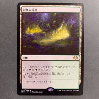 育成泥炭地 日本語