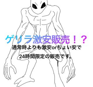 秩序の意志 R 65/100  おまけ豪華！？