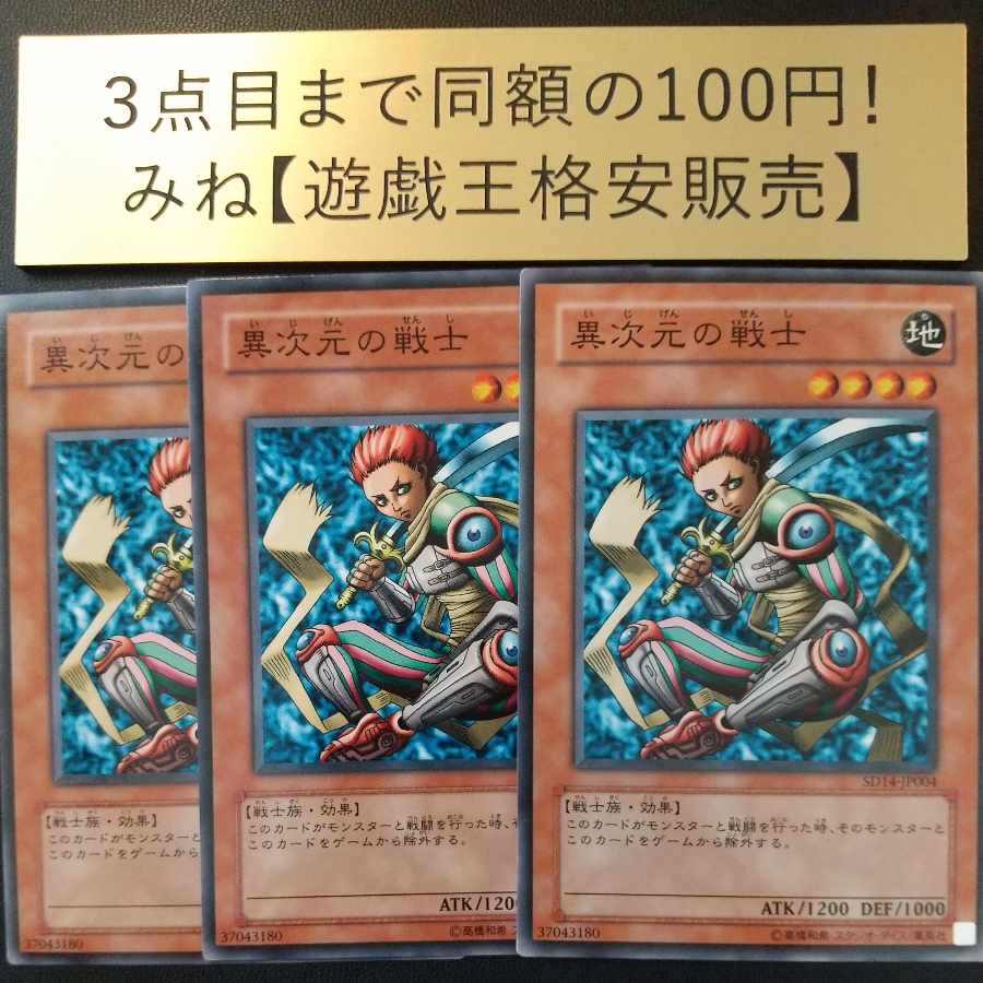 D.D. Warrior Normal JP004