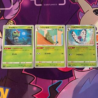 adaptive evolution set