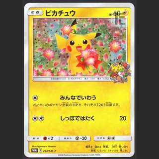 ポケモンカード ピカチュウ 224/SM-Pプロモ ピカチュウ: プロモ[SM-P 224](プロモーションカード「SM-P」)の