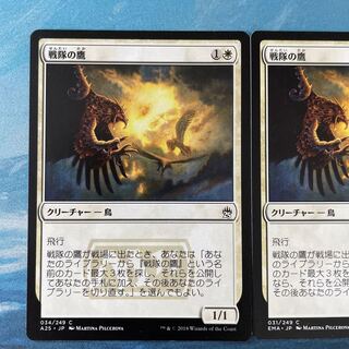 MTG 2 cards Squadron Hawk