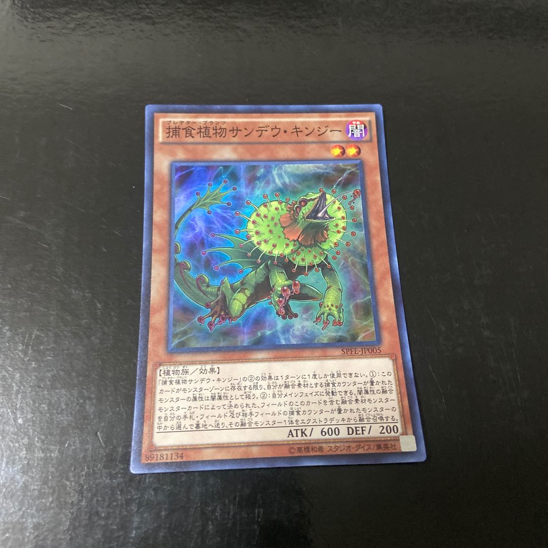 Predaplant Chlamydosundew Super Rare JP005
