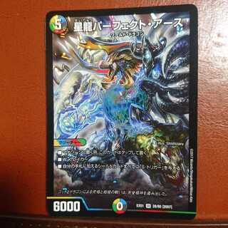 セット割引 星龍パーフェクト・アース