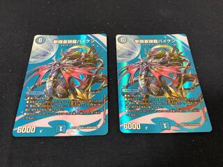 Zan'yaku Sotouryu Baiken