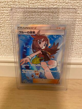 ブルーの探索 SR 196/173