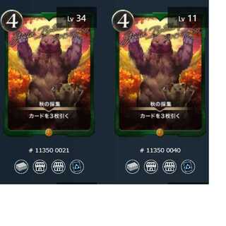 秋の採集【2枚セット】