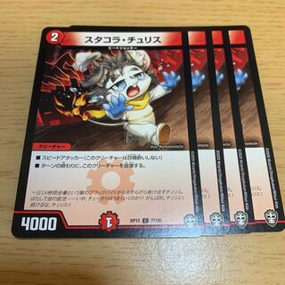 NO.463 Stacora Chu Squirrel C