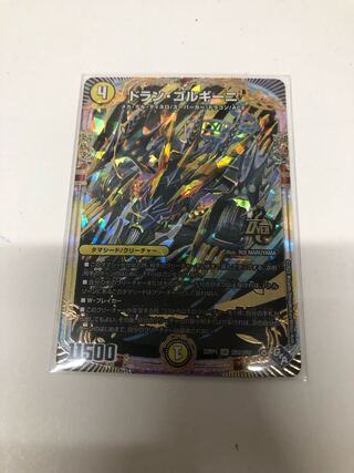 Dolan Gorgini OR OR2/OR2