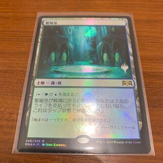 MTG 繁殖池 foil プロモ ラヴニカの献身