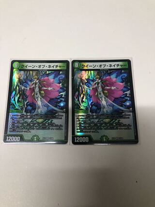 クイーン・オブ・ネイチャー VR 13/682枚セット