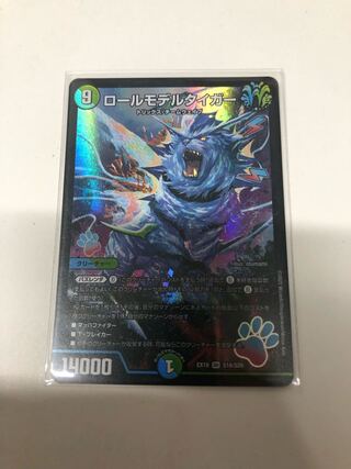 Roll Model Tiger SR S18/S20