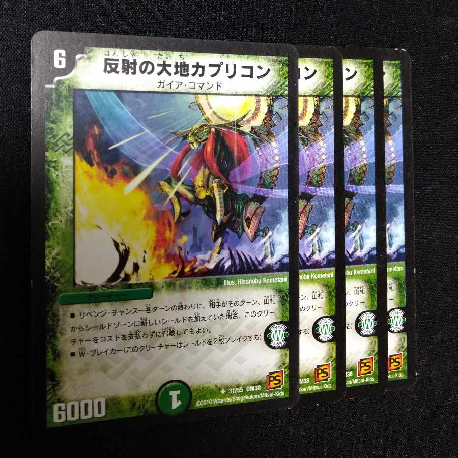 Reflection Earth Capricon U 31/55 2505