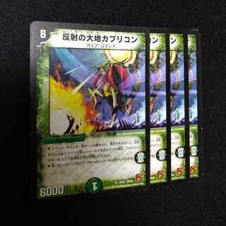 Reflection Land Capricon U 31/55 2490