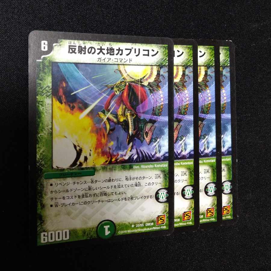 Land of Reflection Capricon U 31/55 2200