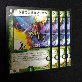 Capricorn, Land of Reflection 2383