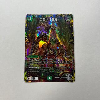 Brachio Dragon Tree (20th Silver Treasure)