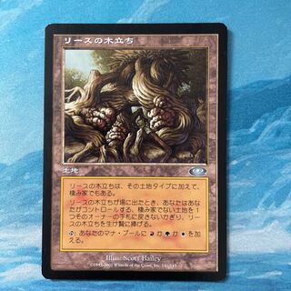 MTG Rith's Grove