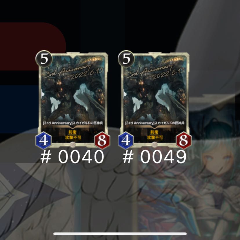 早いモノ勝ち　スカイガルド2枚セット