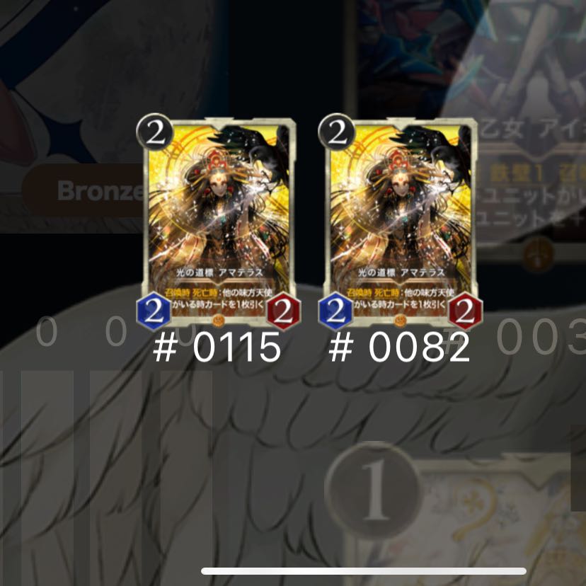 アマテラス2枚セット