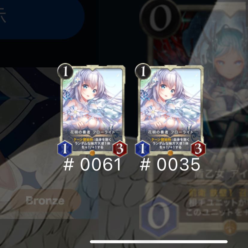 フローライト2枚セット