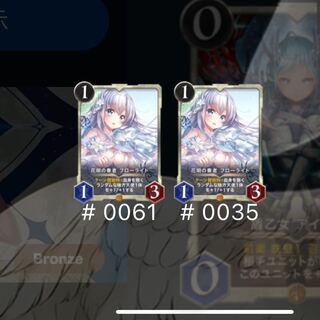 フローライト2枚セット