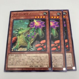 フラワーダイノ ノーマル JP031 3枚