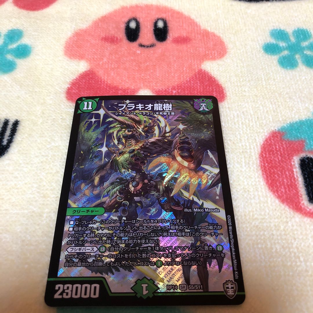 Ryuki Brachio SR S5/S11