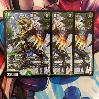 Ryuki Brachio SR S5/S11