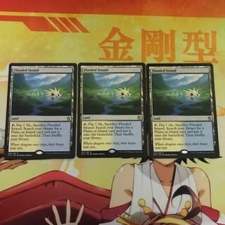 3枚セット 溢れかえる岸辺 Flooded Strand