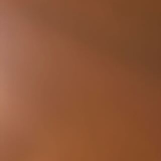 ポケカドラパルト2枚募集