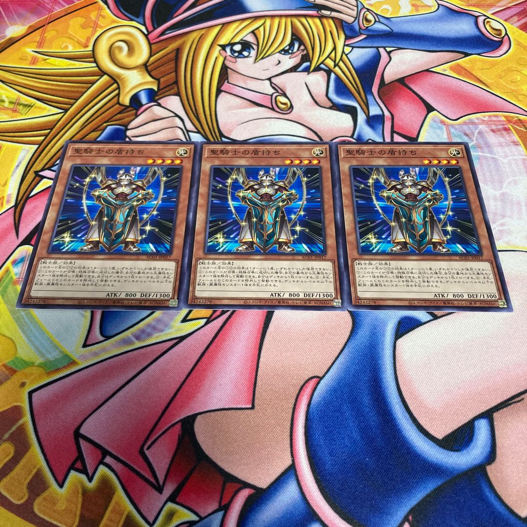 Noble Knight's Shield-Bearer Normal JP017