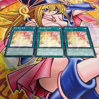 Flower crown of vernalization spirit Normal JP061