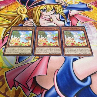 花と野原の春化精 ノーマル JP018