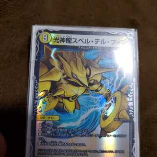 スペルデルフィン