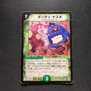 Dandy Naso C 19/19/Y5