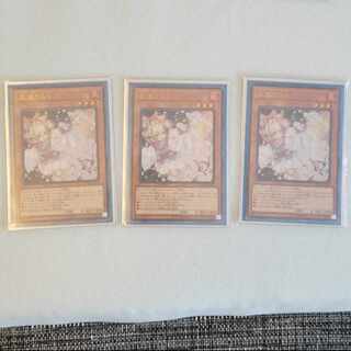 Ash Blossom & Joyous Spring (existing illustration) Ultra Rare JP010