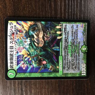 Samurai family Samurai order Stejura VR 7/70