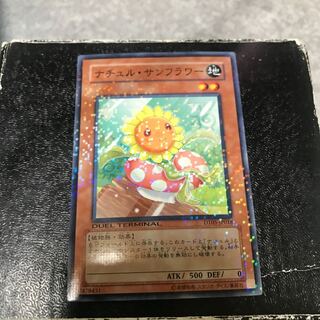 Naturia Sunflower Normal JP018 1枚