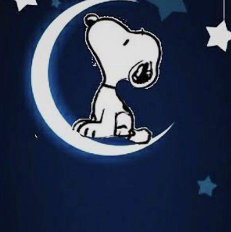 みきしとらんす様専用