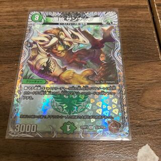 原始 サンナップ(銅トレジャー) C-foil TF19/TF20