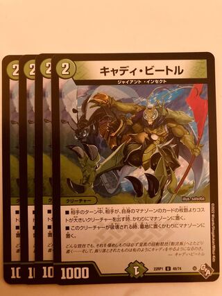 DUELMASTERS Cady Bedele 4-Card