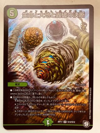 Duel Masters Life, Earth and Roaring Decision