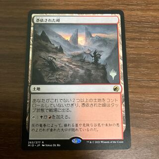 Haunted Ridge Rare 263/277