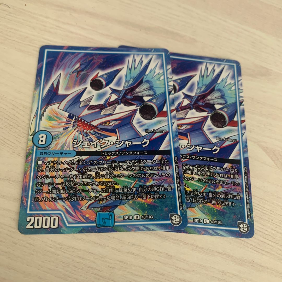 sheikh shark (Carcharhinus leucas)